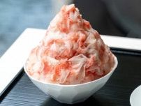 【東京＆横浜】今すぐ食べたい「最新かき氷」とらやの“季節限定”、名門ホテルの“3000円超”、専門店の“進化系”も！