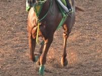 【新馬戦】ラプランセス　祖母はＧ１馬・レジネッタ　センスは高評価　相田助手「日に日に落ち着きが出てきた」
