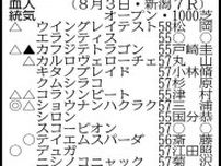 【アイビスＳＤ展望】快速馬ピューロマジックが千直女王の座目指す