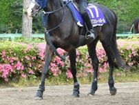ダービー２着のマスカレードボールは天皇賞・秋へ