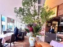 表参道「SABATINI」で過ごす、初夏のランチ🍋