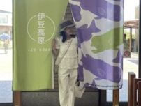 緑豊かな自然に囲まれた伊豆高原で幸せなひとときを過ごしてきました。
