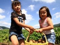 ルスツリゾート　とりたて野菜もぐもぐ体験