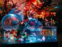 錦鯉・金魚アクアリウムinときメッセ