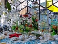 夏休み特別企画　小さなハーバリウム水族館