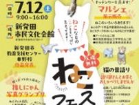 ねこフェスin文化会館