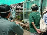 とく得教室（不思議な植物の世界）