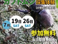 カブトムシの採取体験