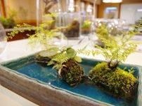 ふなばしアンデルセン公園「室内で楽しめるインドアガーデン」