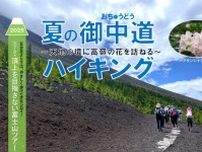 頂上を目指さない富士山ツアー2025「夏の御中道ハイキング」