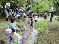 水辺の生き物観察会