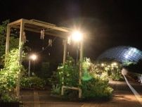 夜の生き物観察会