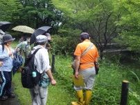 自然ウォッチング（7月）