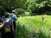 なるほど森歩き（7月）