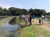 第10回トンボ観察会