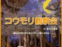 コウモリ観察会in夜の玉泉洞