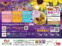 みどりの杜サマーイルミネーション2025 〜星降る杜とひまわり〜