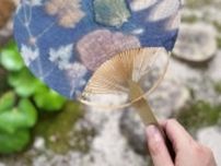 草木染め和紙でうちわを作ろう
