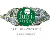 斑入りな植物展
