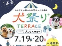 よる犬祭りテラス（7月）