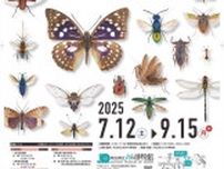 特別展「昆虫いろいろ〜標本から見える昆虫の世界〜」