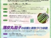 夏のアスパラガス収穫体験（川西町）
