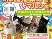 百町保護猫譲渡会＆マルシェ（8月）