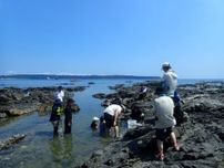 磯観察体験：生き物から地層まで 夏休み特別編