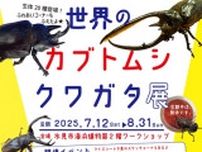 世界のカブトムシ・クワガタ展2025