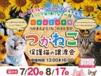 つかねこ譲渡会＆パネル展・チャリティーグッズ販売（8月）