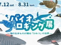 企画展「バイオロギング展−海の生きものが撮る秘密の世界−」