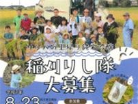 稲刈りし隊・稲刈り体験