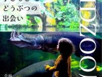 KIDZOO展