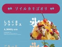 ふわとろ氷×果実のご褒美！夏限定かき氷が登場【Soille（ソイル）】