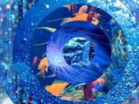蜷川実花“日本最大級の球体水槽”使ったインスタレーション、神戸の水族館「アトア」で