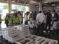 威勢のいい声に驚き 夏休み中の子どもたちが魚の競りを間近で見学 値段を伝える指の形も教わる
