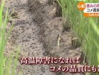 「知恵を絞って乗り越える」雨が少ない梅雨　コメ農家“水不足”への懸念も・福島