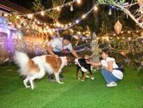 福島県伊達市梁川町にナイトドッグラン誕生　涼しい夜に愛犬と遊べる場