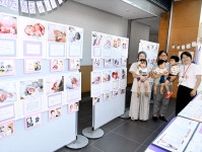 早産児に理解深めて　３１日まで「小さく生まれた赤ちゃん写真展」　誕生時や現在の写真を展示　福島県いわき市