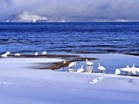 猪苗代湖、ラムサール登録　コハクチョウ飛来地、尾瀬に次ぎ福島県２カ所目