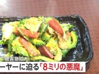 【心配】ゴーヤーに迫る「8ミリの悪魔」沖縄全土で外来害虫が急拡大…ゴーヤーの県外搬出制限に沖縄料理店が悲鳴