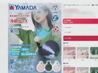 【独自】ウソだらけの「小型ファン」広告　“世界最小エアコン”“驚きの性能で4990円”表示も…専門家「だまされないで」