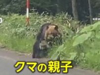 停車した車の反対側の草むらから迫り来る親子グマ　北海道・斜里町　環境省は「むやみに停車せず車から降りない」よう注意呼びかけ