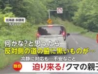 【独自】迫り来るクマの親子チラリと見つつ1mの距離を通過　環境省「むやみに停車せず車から降りない」　北海道