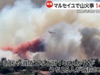 車両火災が強風の影響で広がったか　フランスで山火事…煙が100km広がり146人怪我