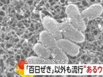 「百日咳患者」子供中心に過去最多更新する一方、大人にも強い感染力「アデノウイルス」流行に要注意…アルコール消毒効きにくく特効薬なし風呂で感染も