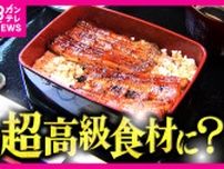 ウナギさらに高価に？　EUが取引規制提案　養殖業者「闇取引起きる」”安く売れが家訓”の料理店は不安隠せず