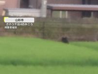【独自】熊出没！市街地に現れたクマが自転車男性とニアミスの瞬間をカメラがとらえる　ドローンで捜索・麻酔銃命中も逃走中　山形市