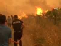 猛暑続くトルコで山火事相次ぐ…目の前に迫る炎と戦う現地を緊急取材　被害範囲拡大の一因は「火災旋風」か