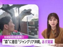 開業1年目の経済波及効果は約6500億円！25日開業「ジャングリア沖縄」地方経済の起爆剤に　刀・森岡毅代表「“本物の贅沢”“本物の興奮”“本物の解放感”を」